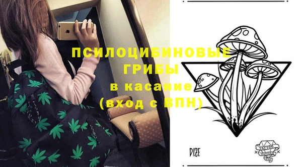 герыч Переславль-Залесский