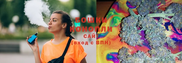 ПСИЛОЦИБИНОВЫЕ ГРИБЫ Баксан